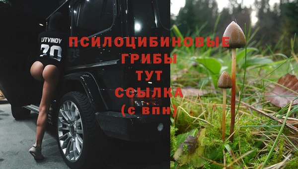 spice Балахна