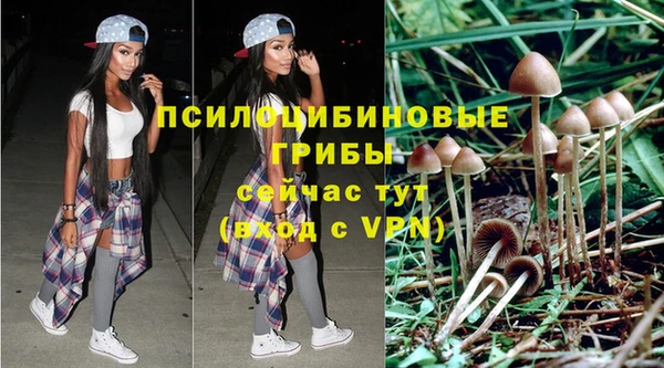 сатива Балабаново