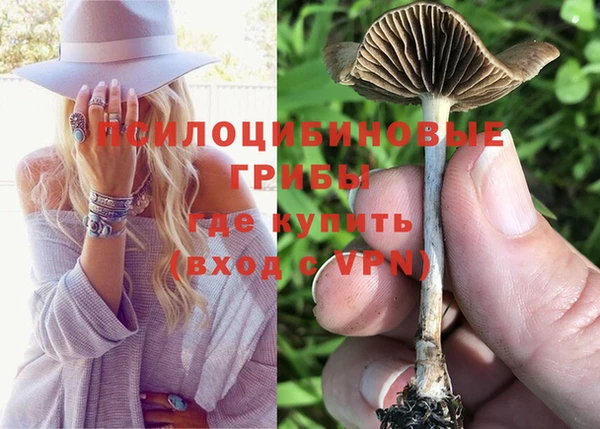 сатива Балабаново