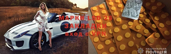 шишки Баксан